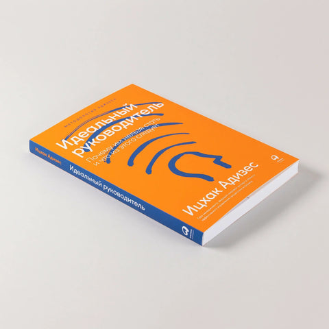 Идеальный руководитель: Почему им нельзя стать и что из этого следует