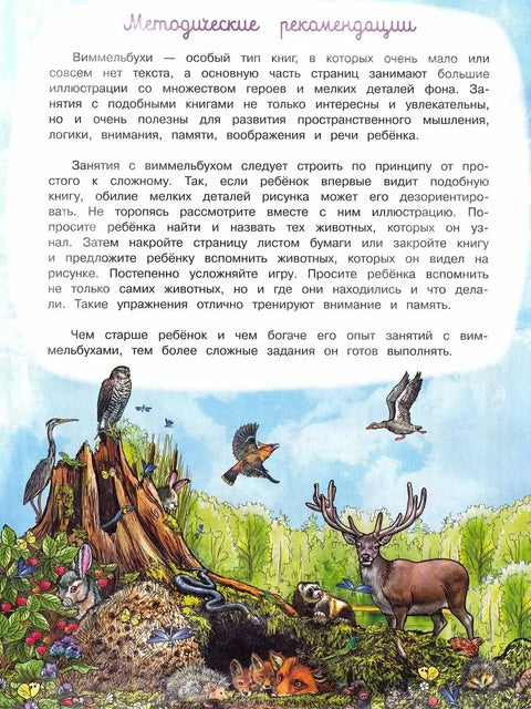 Вимелбух „Пронађи и прикажи годишња доба“