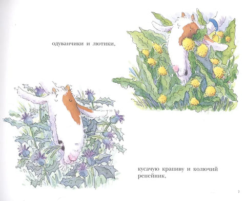 Болни зуб козе Хрумке