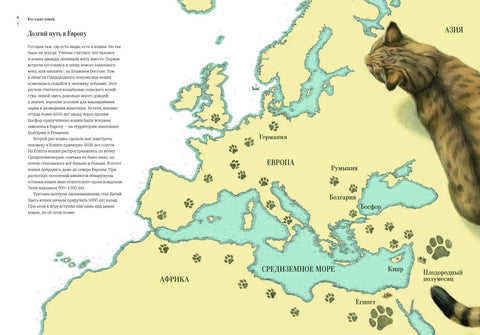 Как кошка приручила человека: история кошек и людей