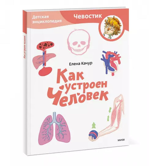 Како је човек направљен. Дечја енциклопедија (Чевостик) (Меки повез)