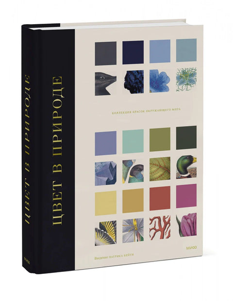 Цвет в природе. Коллекция красок окружающего мира