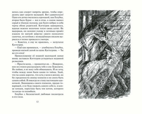 Тень Когтегрива. Книга 2. Возвращение