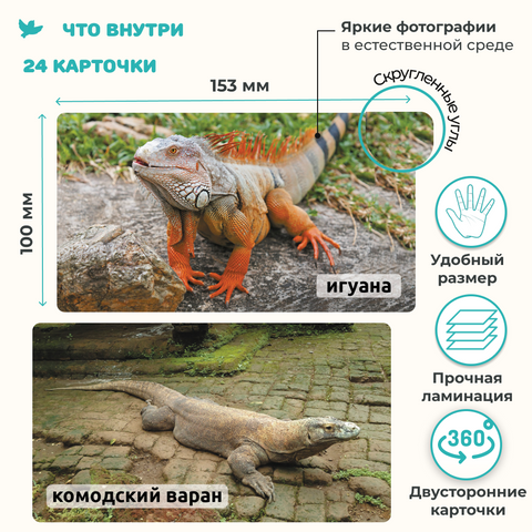 Мир на ладошке «Рептилии» + 1 игровое поле