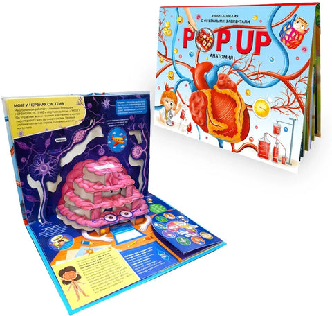 Анатомия: книжка-панорамка