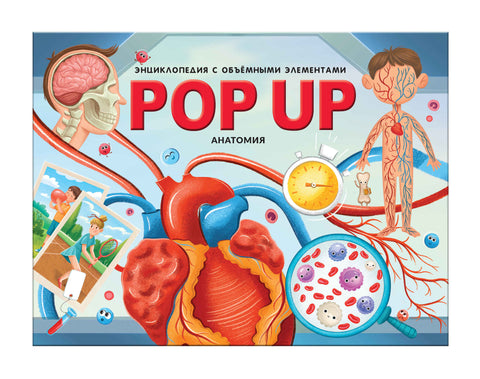 Анатомия: книжка-панорамка