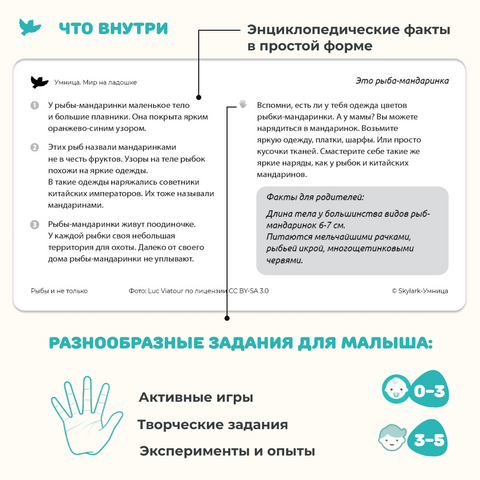 Мир на ладошке 2в1: «Изобретения» и «Рыбы и не только»