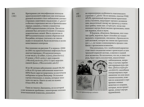 Огромна територија