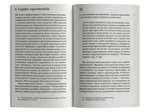 Открытое. Человек и животное