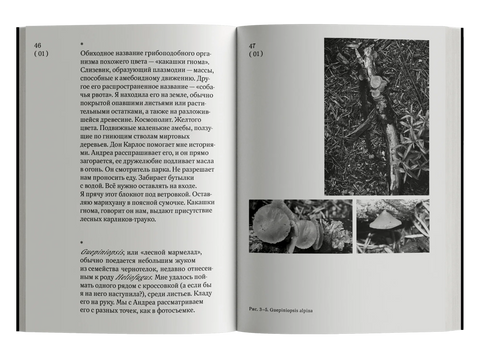 Огромна територија