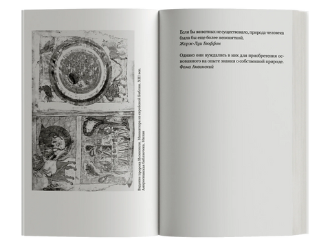 Открытое. Человек и животное