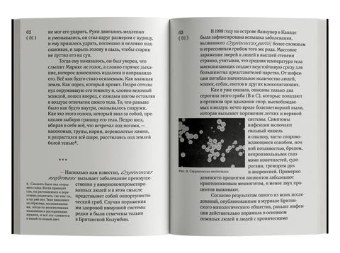 Огромна територија