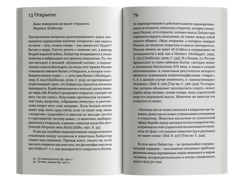 Открытое. Человек и животное