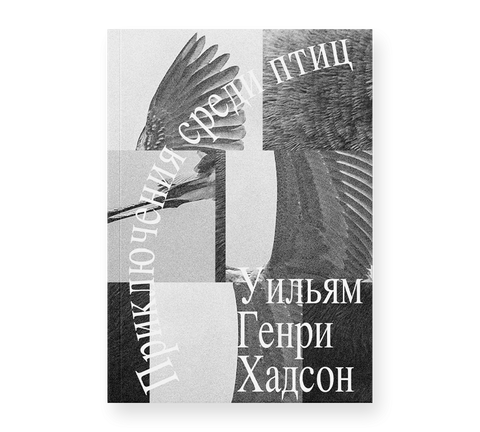 Приключения среди птиц