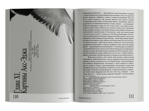 Приключения среди птиц