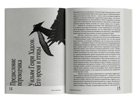 Приключения среди птиц