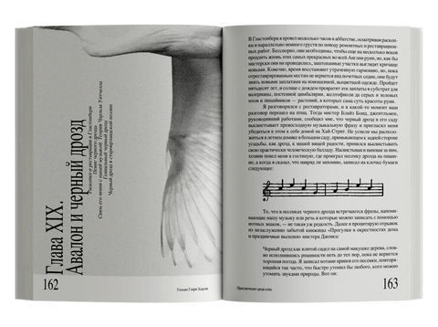 Приключения среди птиц