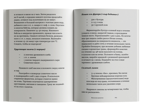 Мятежный дух. Малая философия ферментации