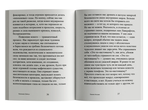 Камен лудила