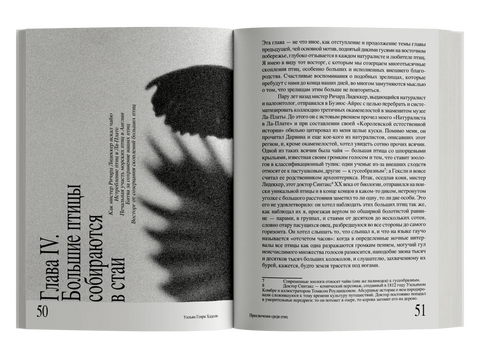 Приключения среди птиц