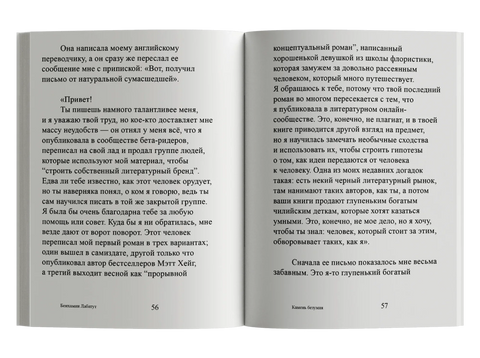 Камен лудила