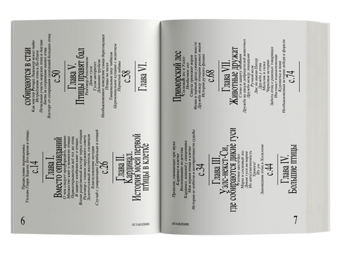 Приключения среди птиц