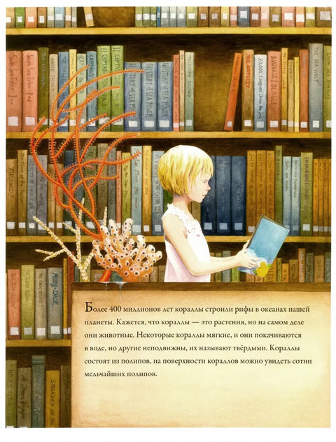Корални гребени
