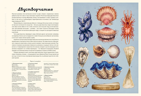 Океанаријум