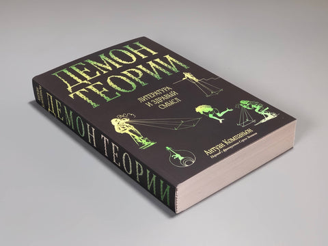 Демон теории. Литература и здравый смысл