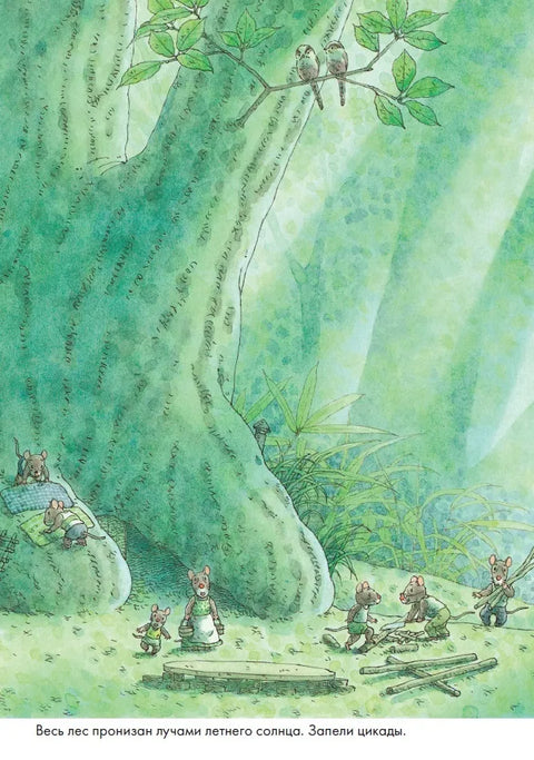 14 лесных мышей. Стирка.