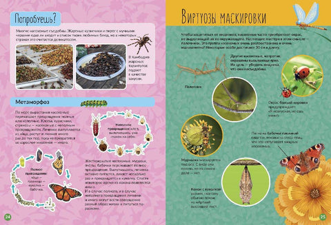 Инсекти и друге ситнице. Конструктор књига.