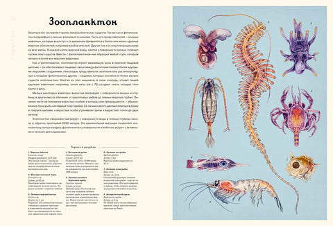 Океанаријум