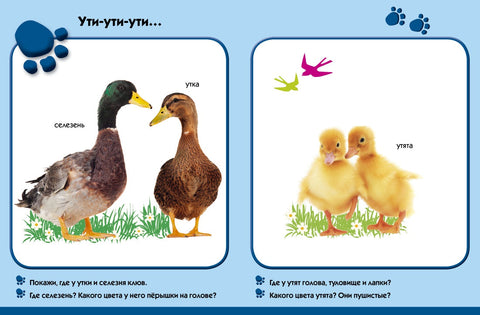 На фарми. Развој бебе (0-1 година)